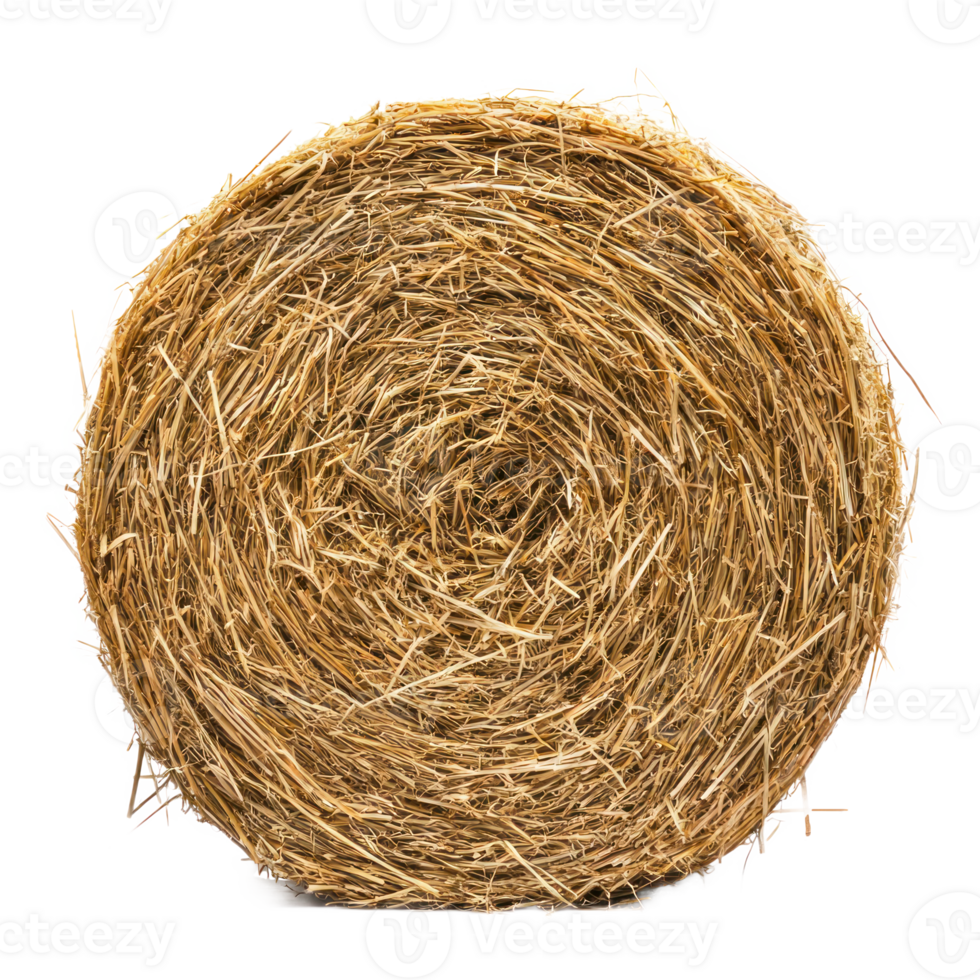 Round hay bale isolate on transparent background png