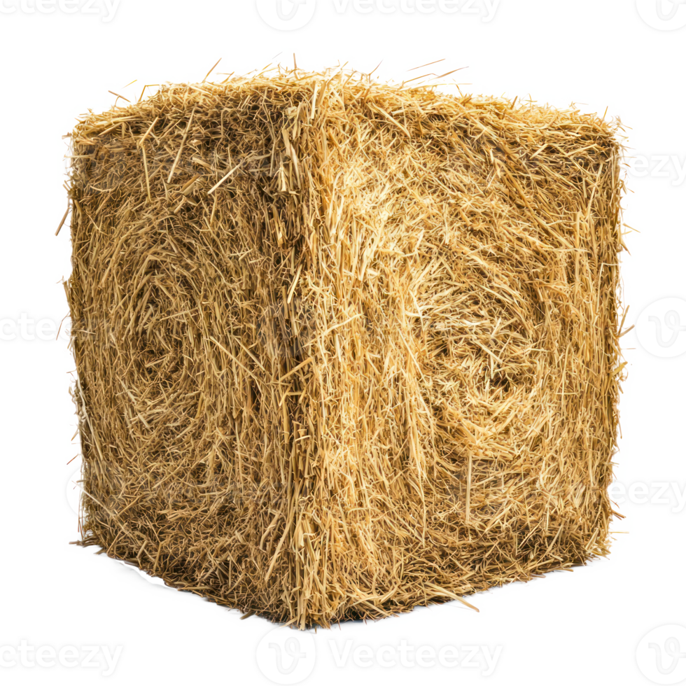 Square hay bale isolate on transparent background png