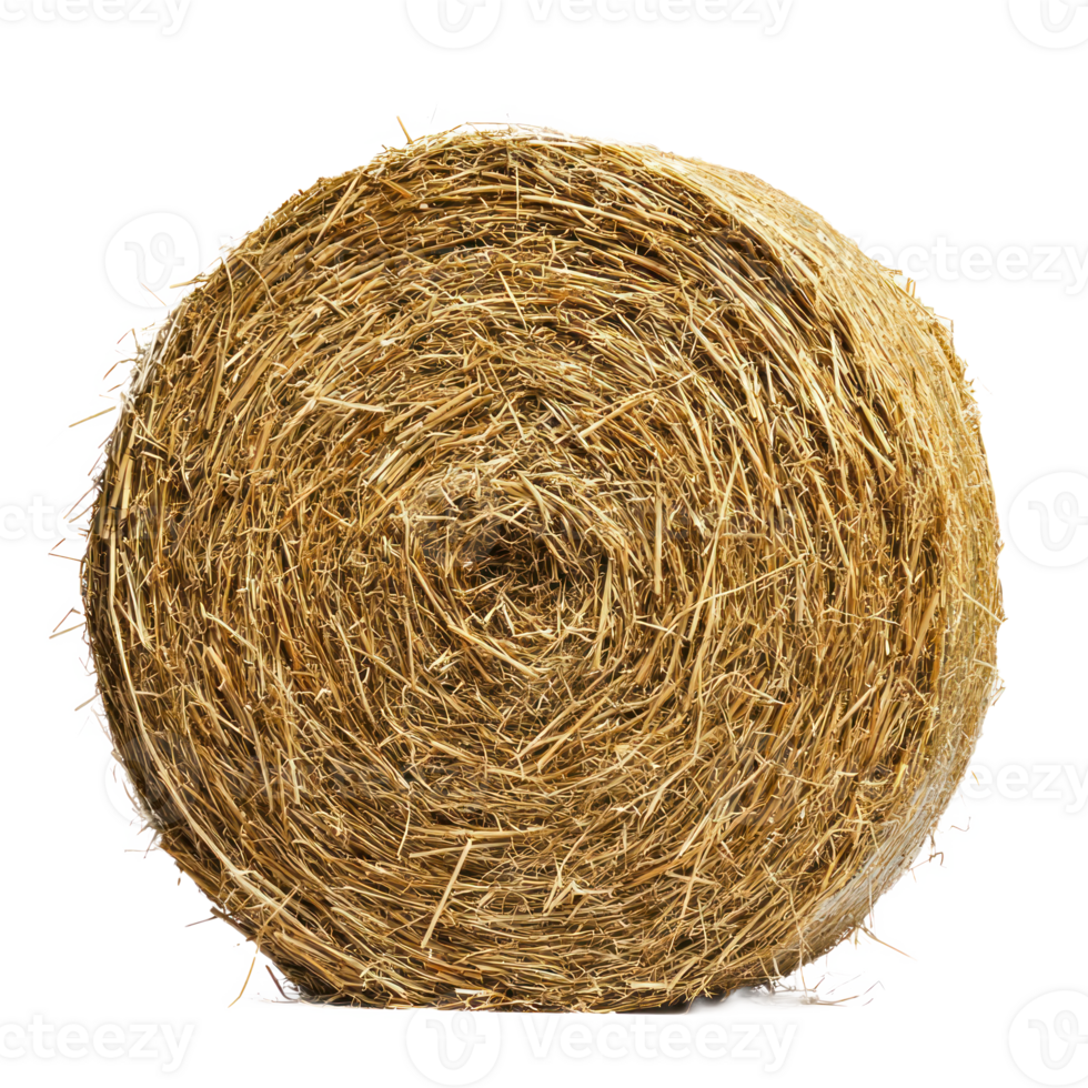 Round hay bale isolate on transparent background png