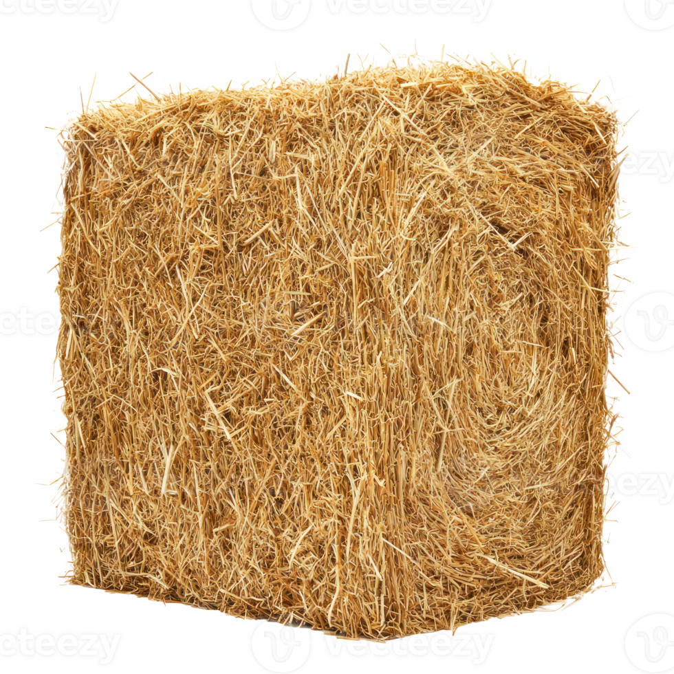Rectangle hay bale isolate on transparent background png