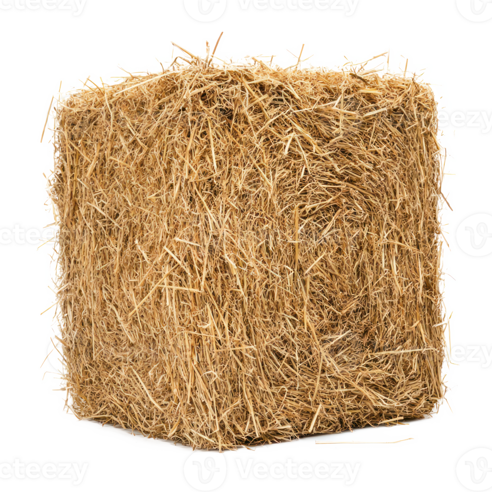 Square hay bale isolate on transparent background png