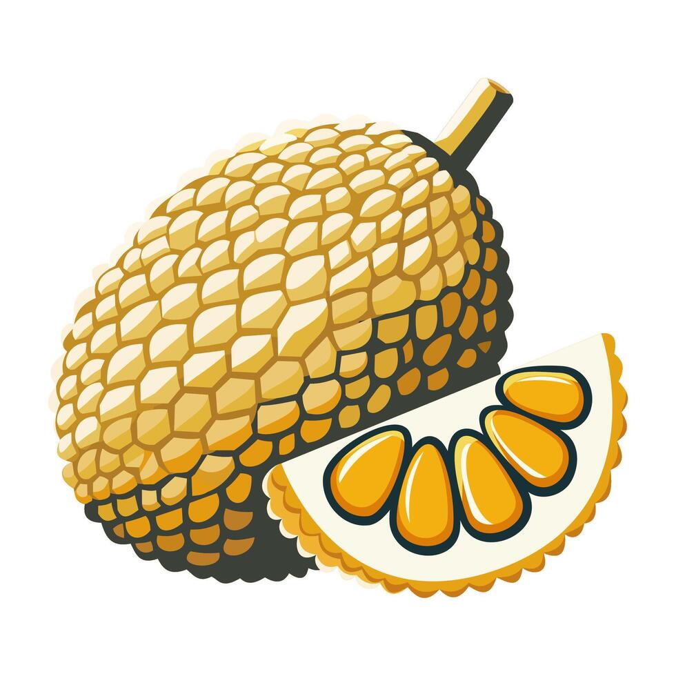 Fresh Jackfruit Fruit Illustration vector