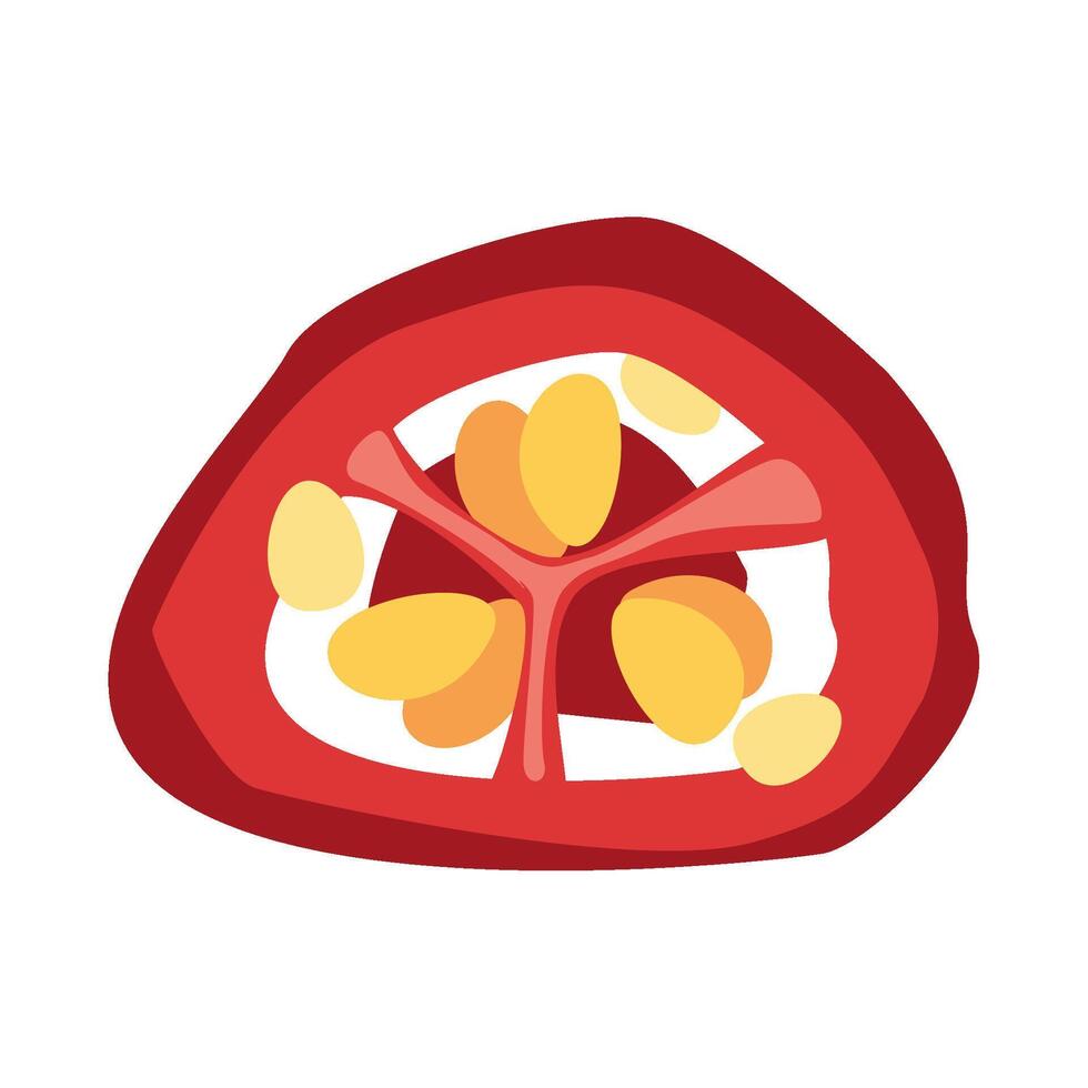 chili pepper slice illustration isolated vector