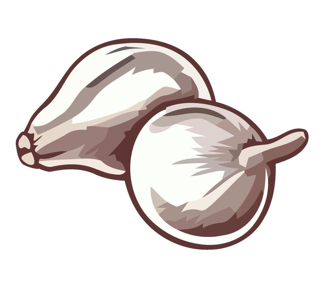 Fresh organic garlic vegetable gourmet cuisine icon isolated vector