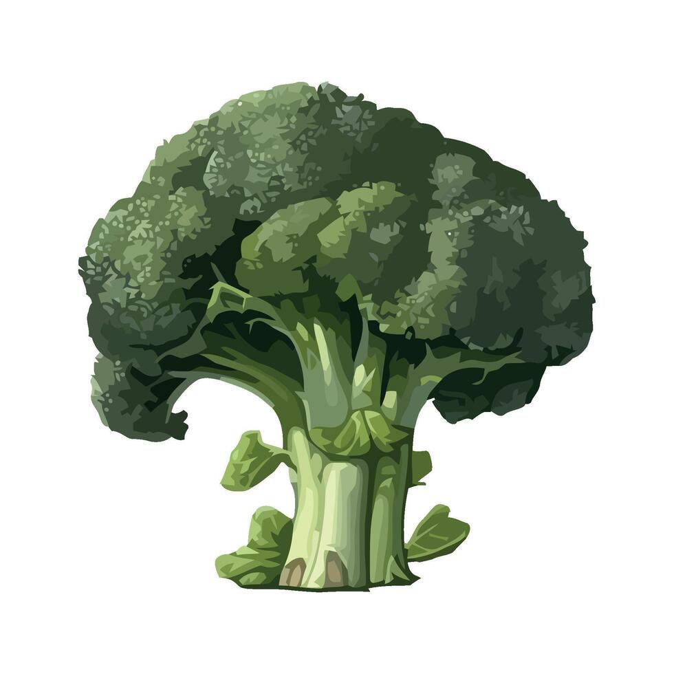 Fresh broccoli for healthy eating icon isolated vector