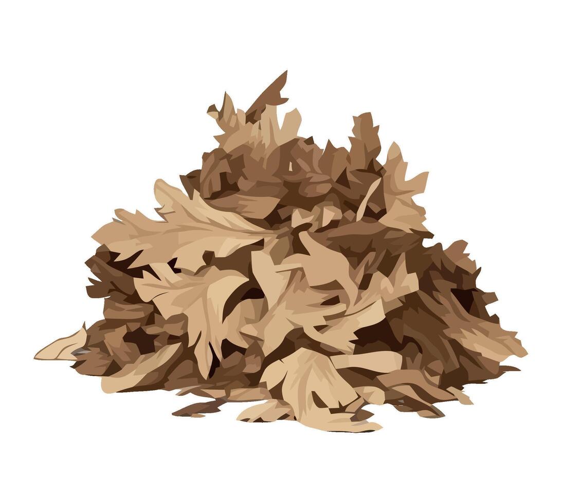 autumn leaf shape, isolated on white background icon isolated vector