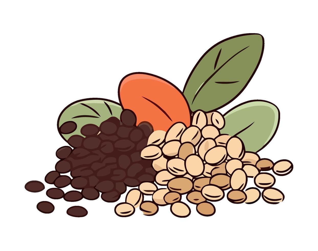 Fresh organic dry beans for healthy eating icon isolated vector