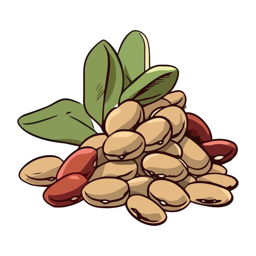 Fresh organic beans illustration icon isolated vector