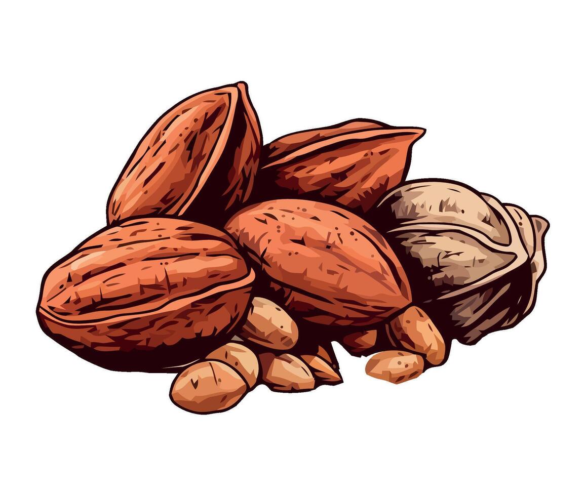 Organic nut snack hazelnut illustration vector