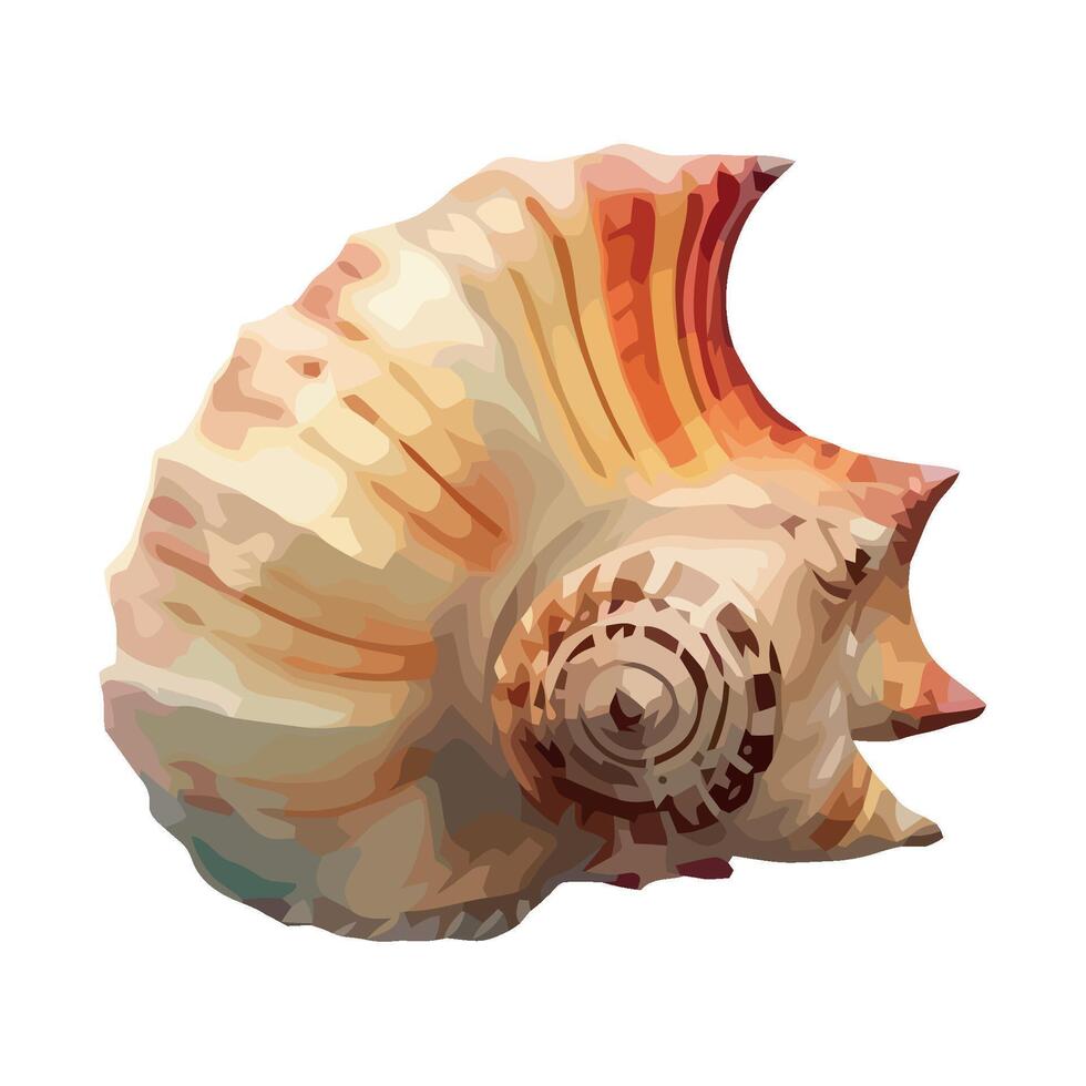 Summer seashells, nature decoration spiral icon isolated vector