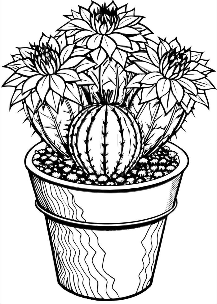 flowering cactus in a pot, cb, large details, illustration line art vector