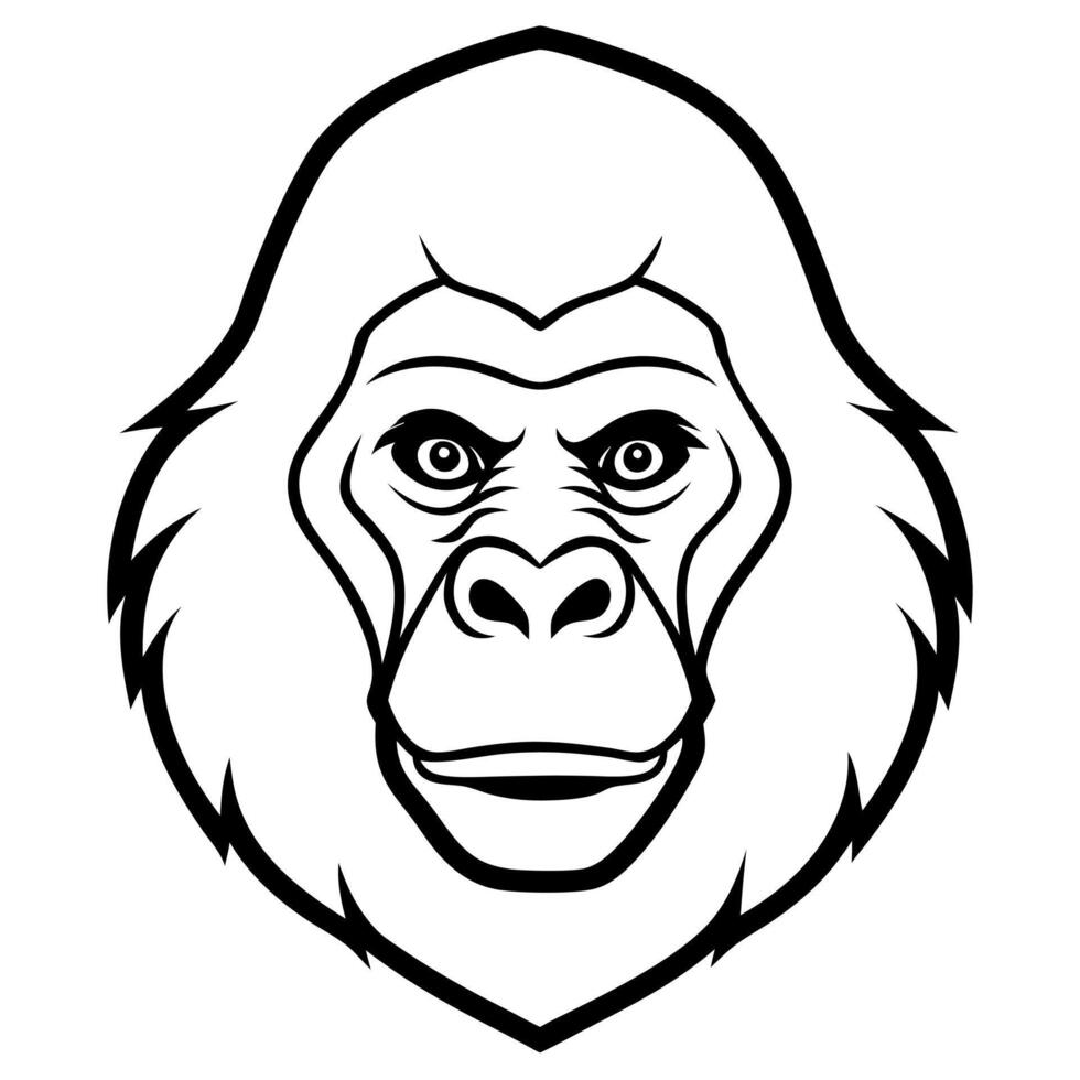a mountain gorilla head with white background, illustration line art vector