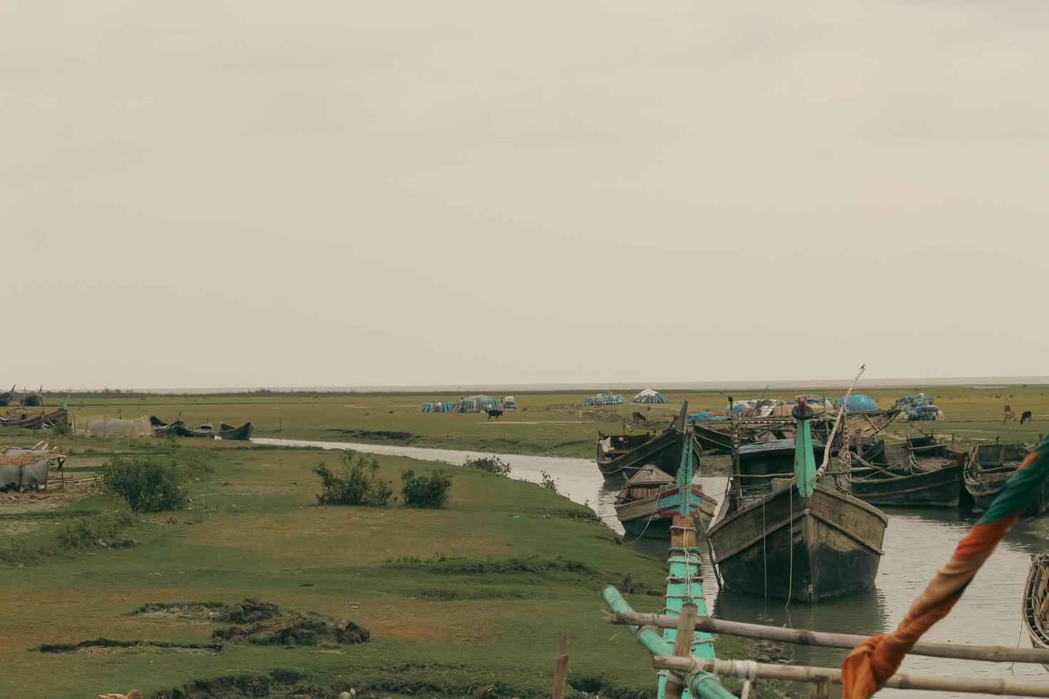 Exploring the Natural Beauty of Nijhum Dwip Green Fields, Colorful Boats, and Scenic Rivers photo