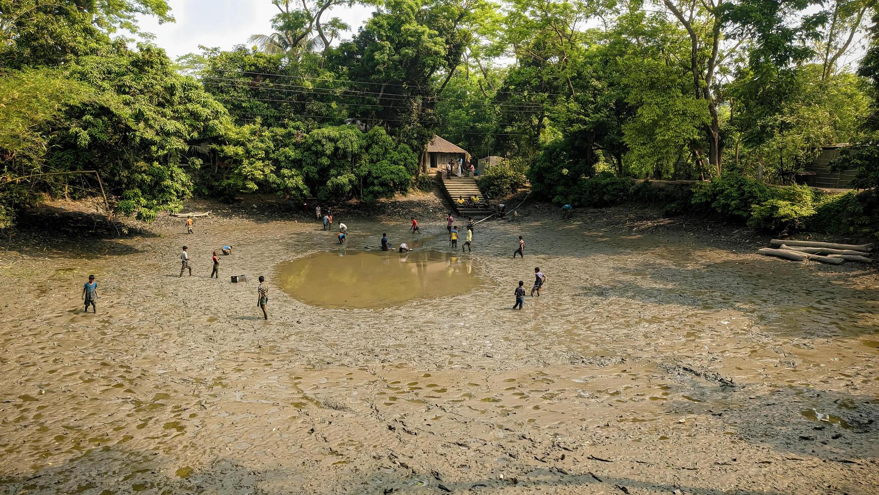 Village People Catching Fish in a Pond in Bangladesh photo