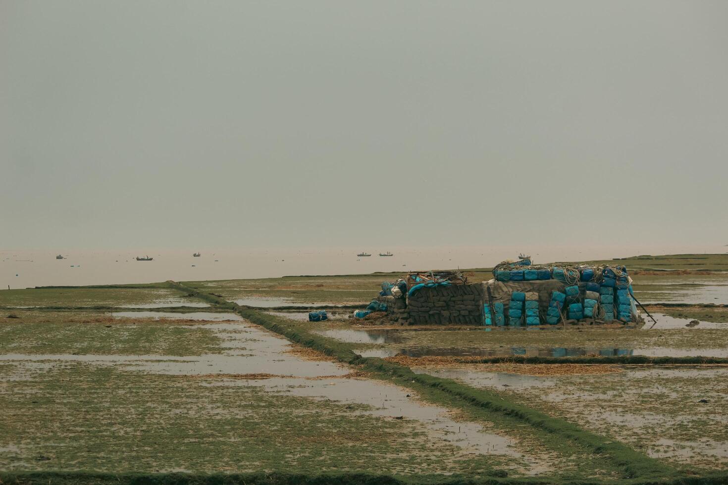Rainy Winter Day in Nijhum Dwip, Bangladesh photo