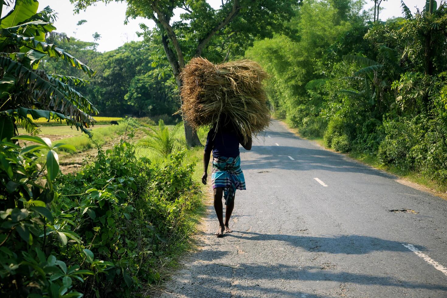 A farmer carrying crops on his head photo