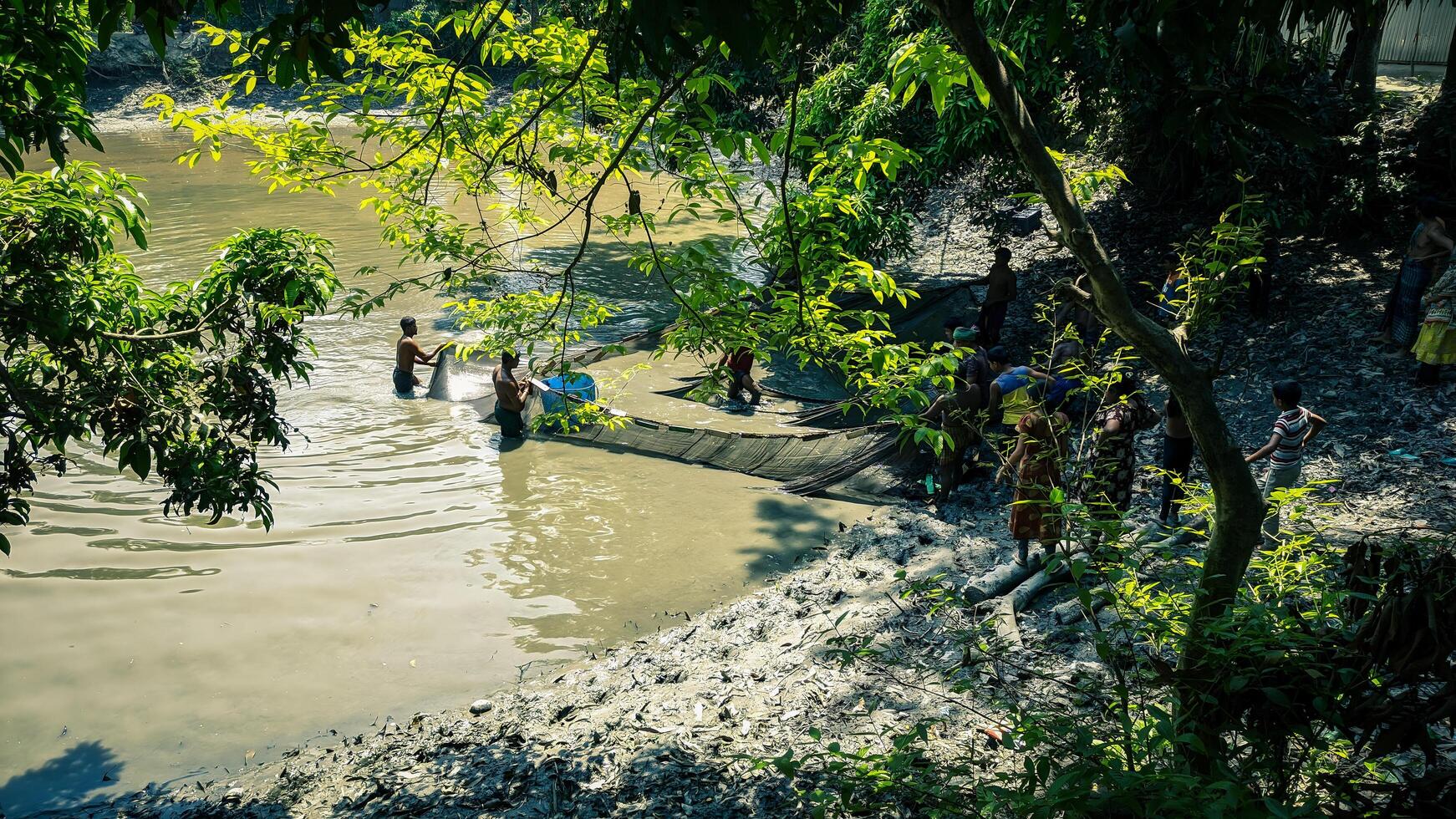 Fishermen Catching Fish with Nets While Villagers Watch in Rural Bangladesh photo