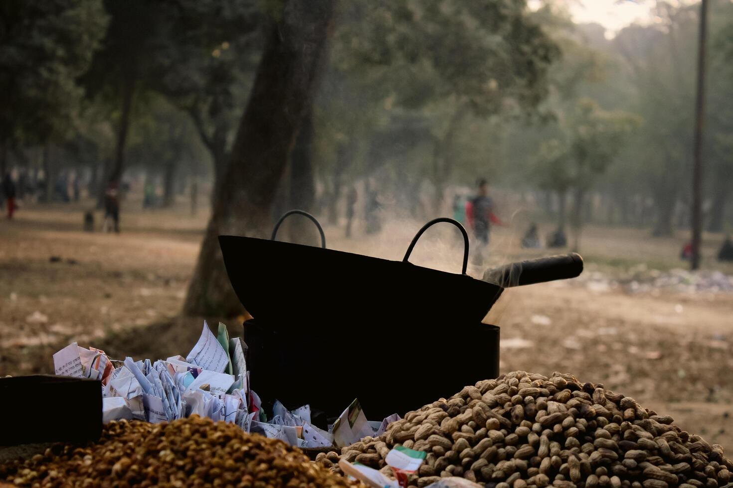 Peanut Selling Cart in Suhrawardy Udyan Park on a Winter Morning photo
