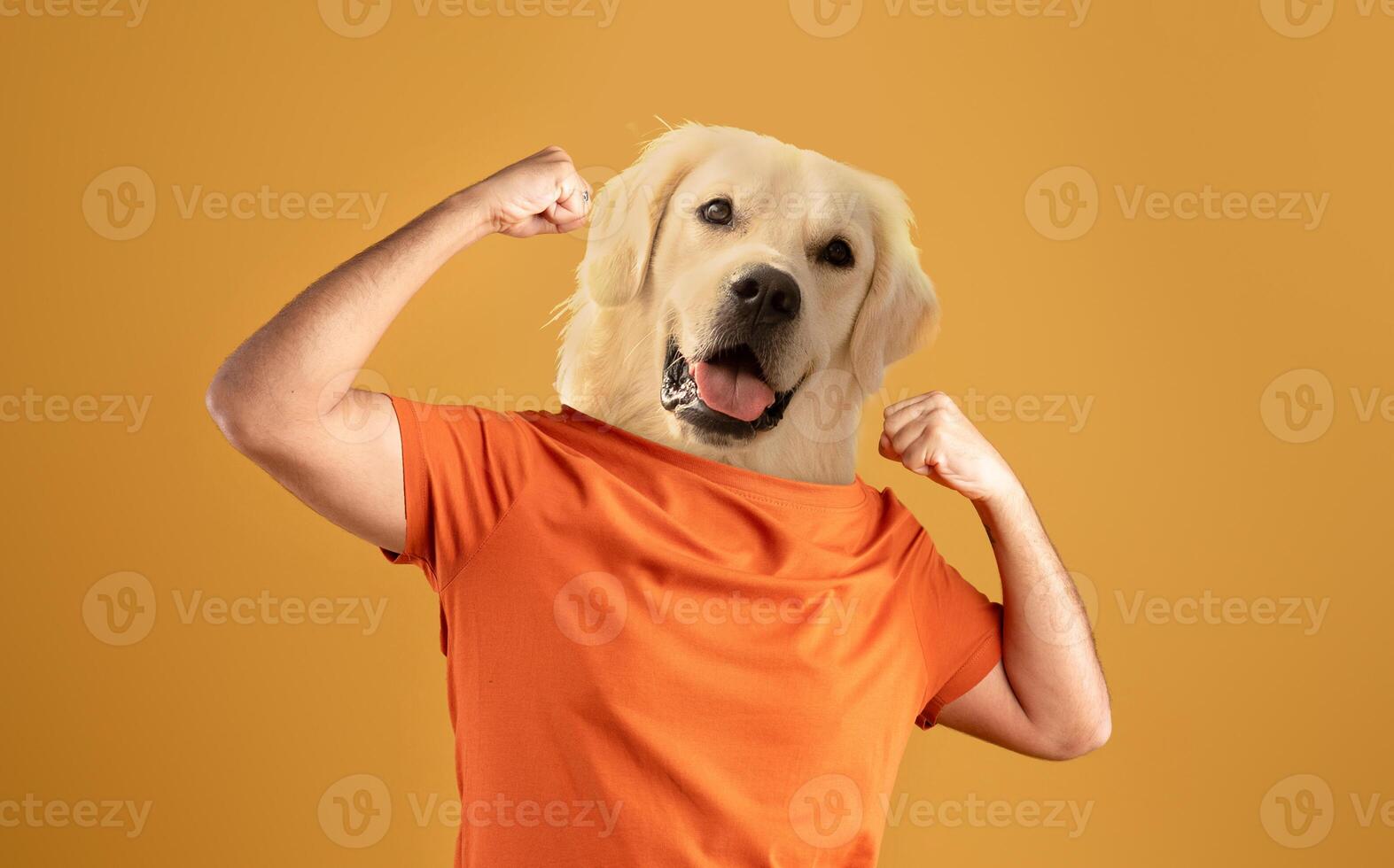 A playful scene features a dog with a strong and confident demeanor, raising its arms in a victory pose. The vibrant yellow background adds energy to the moment photo