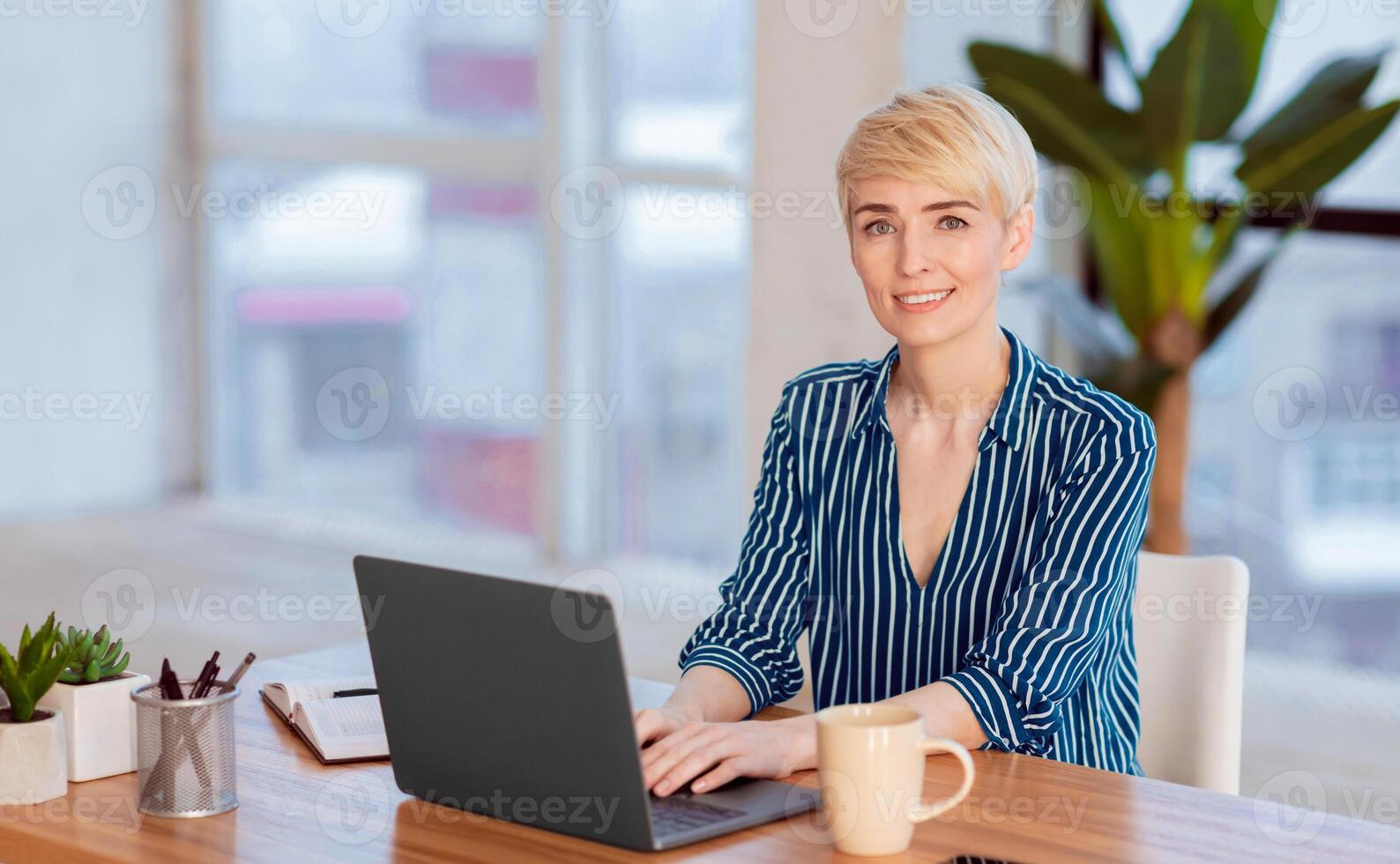 Computer Work. Entrepreneur Woman Working On Laptop Browsing Internet Smiling To Camera Sitting At Workplace Indoor. Free Space photo