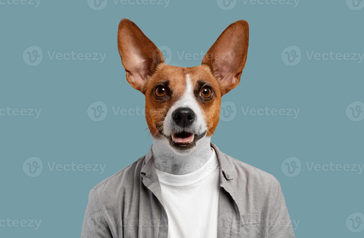 A dog with brown and white fur is wearing a white undershirt and a grey button-up shirt against a light blue background. The dog is smiling and looking directly at the camera. photo