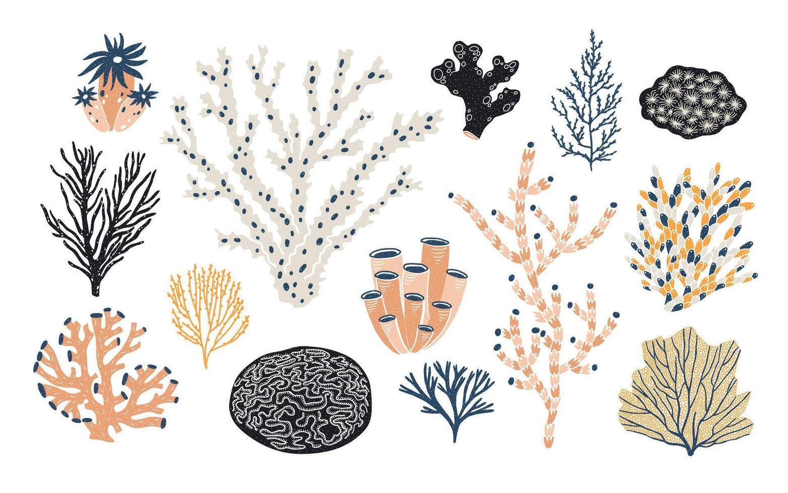Collection of various corals and seaweed or algae isolated on white background. Beautiful underwater species, deep sea creatures, aquatic or ocean flora and fauna. Doodle colorful illustration. vector
