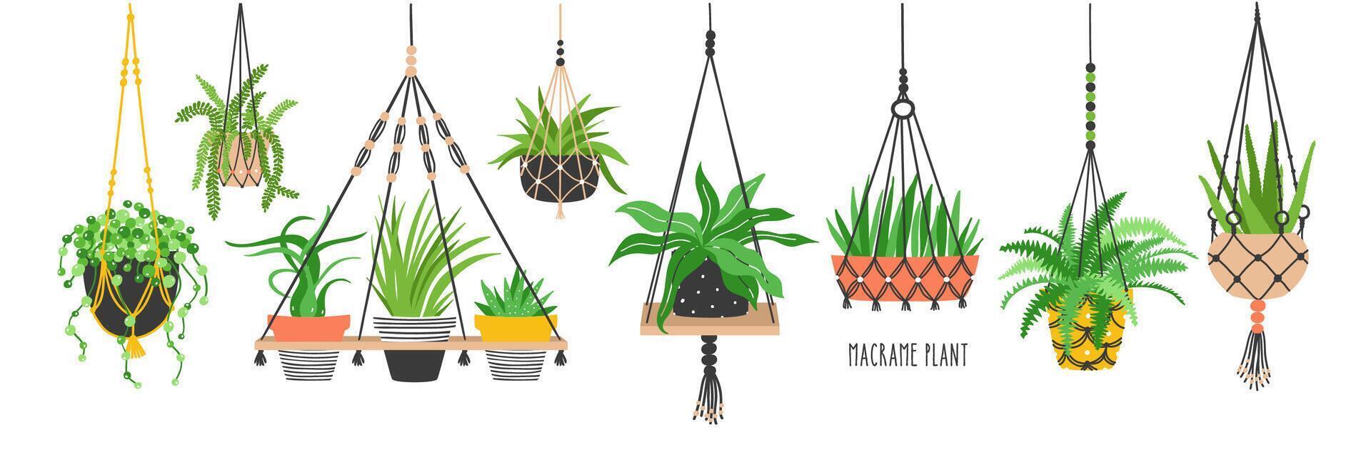 Set of macrame hangers for plants growing in pots. Bundle of hanging planters made of cotton cord, beautiful handmade home decorations isolated on white background. Cartoon flat illustration. vector