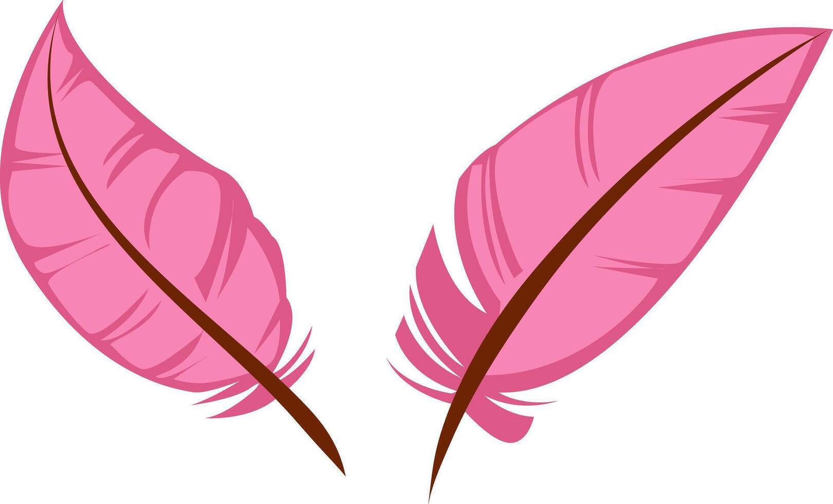 Elegant Pink Feather Illustration vector