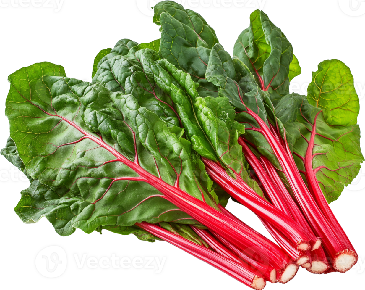 Chard vegetable isolated, Leafy Green Vegetables Clipart - Swiss Chard vegetables illustration png