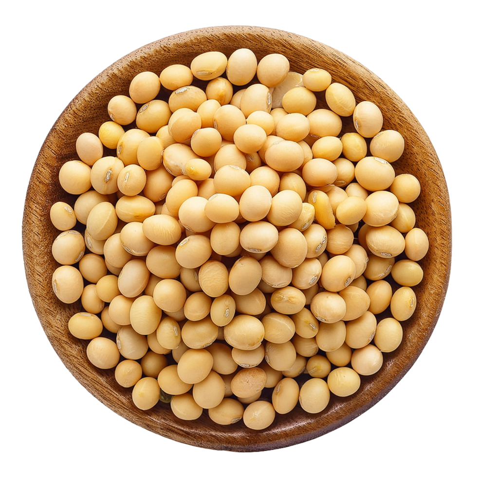 Soybeans isolated on Transparent background png
