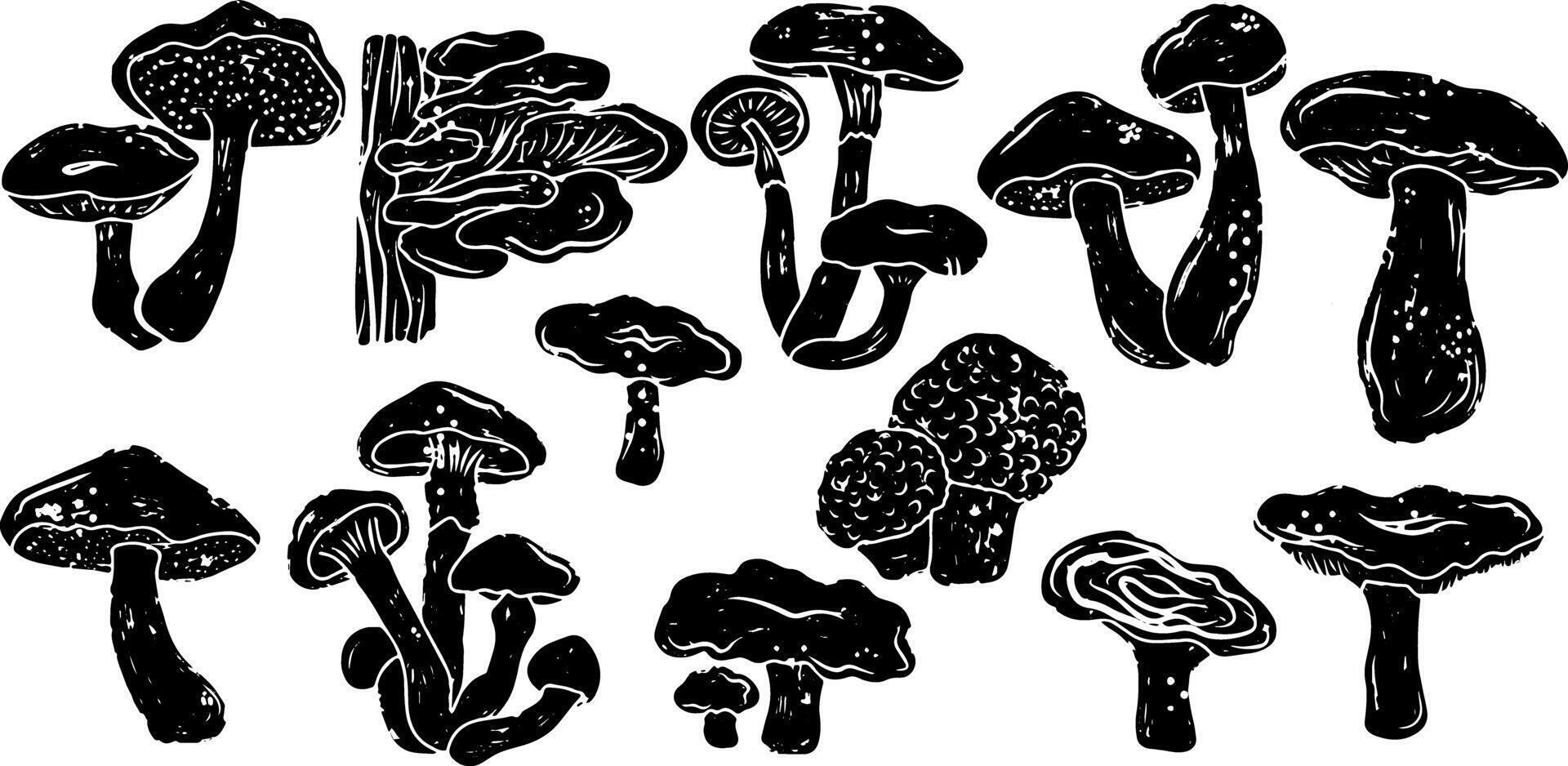 a set of black and white drawings of mushrooms vector