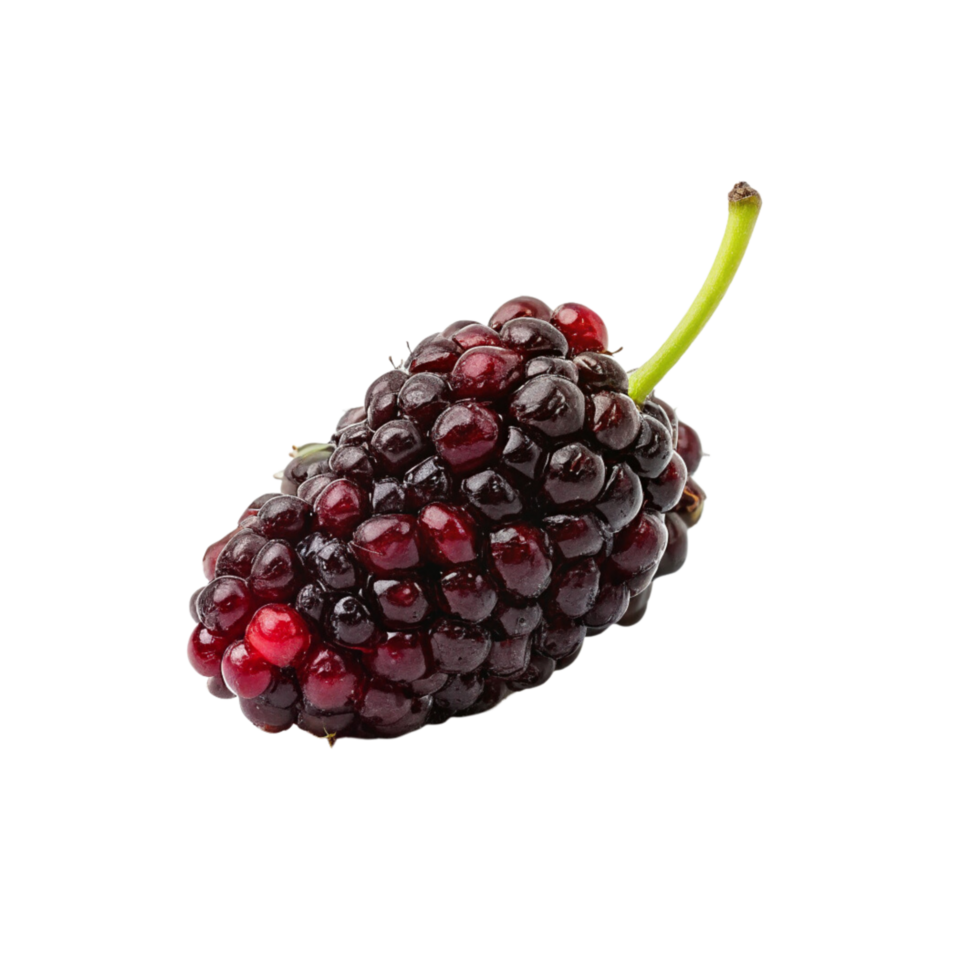 Mulberry fruit on transparent background png