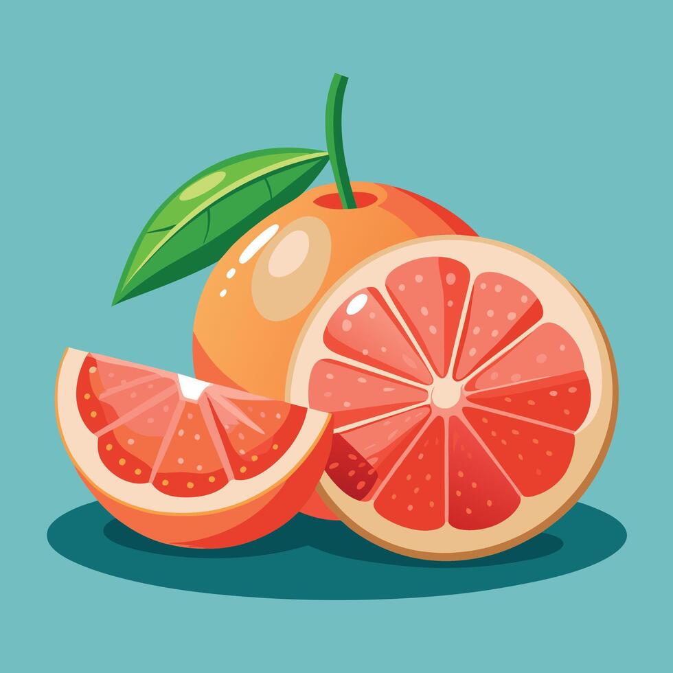 Grapefruit and half cut in half vector