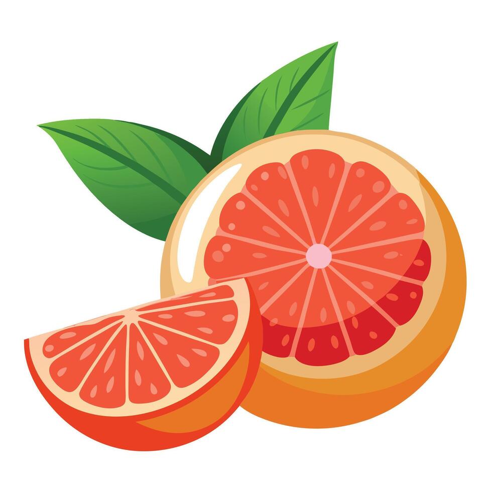 Grapefruit with leaves and slices on a white background vector