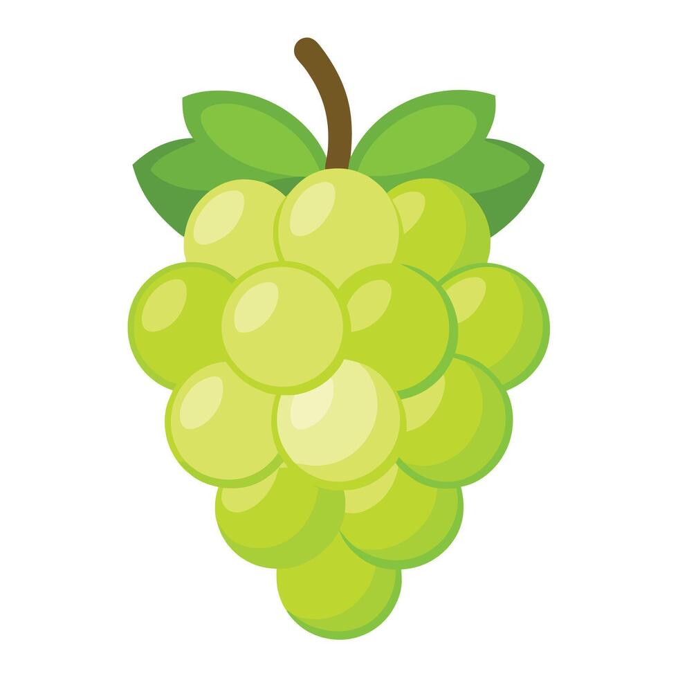 green Grapes Illustration. Illustration. Icon. Bunch of grapes with stem and leaf isolated on white background vector