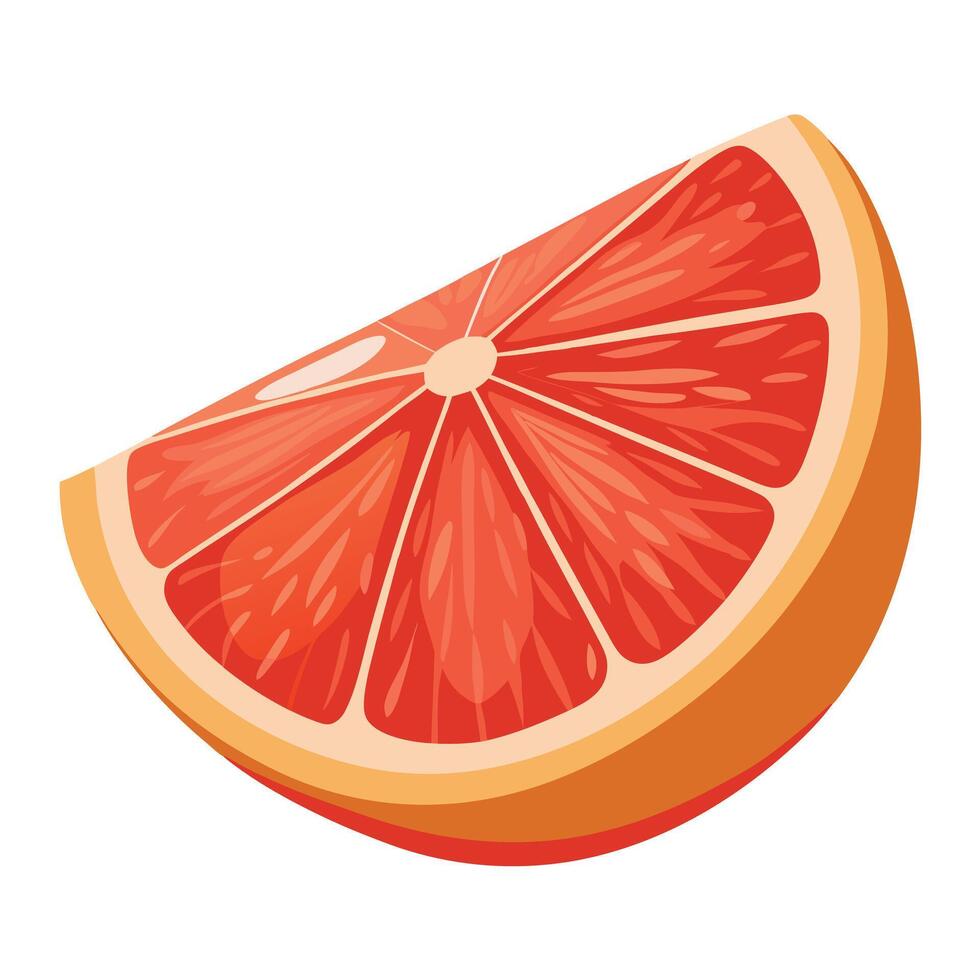 Grapefruit slice on white background vector