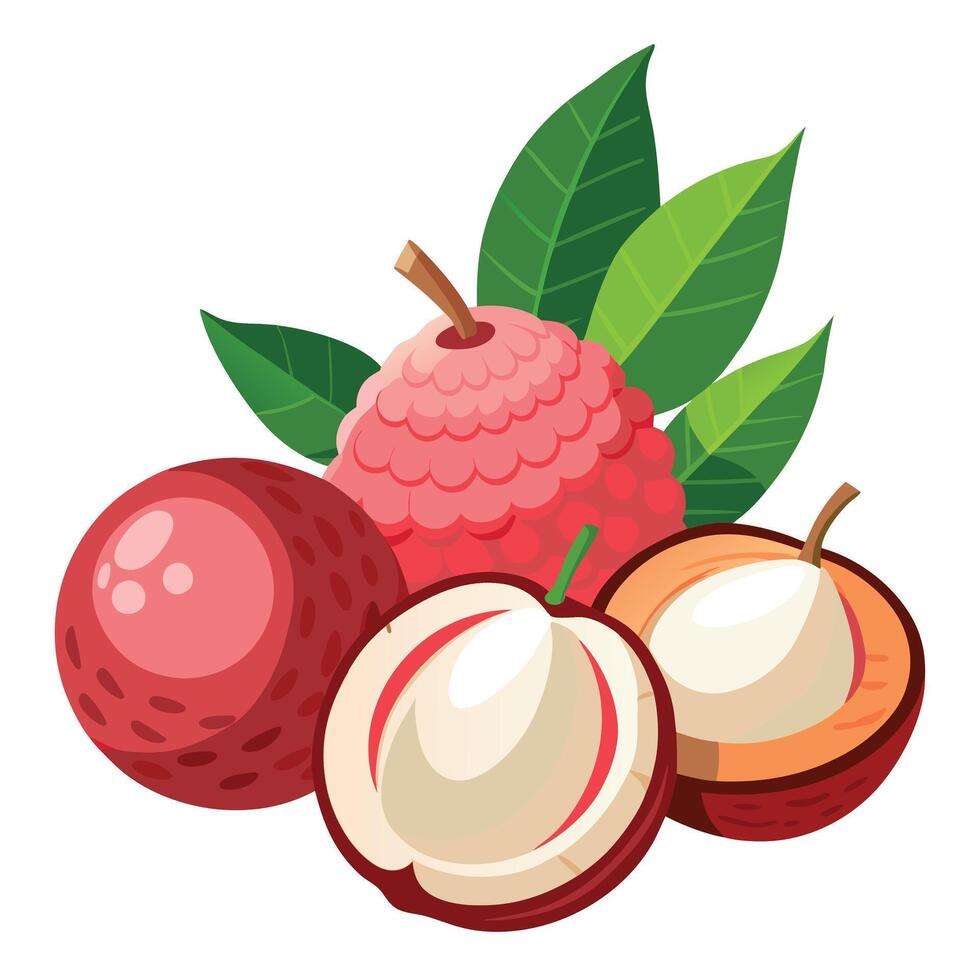 An illustration of a red lychee fruit vector