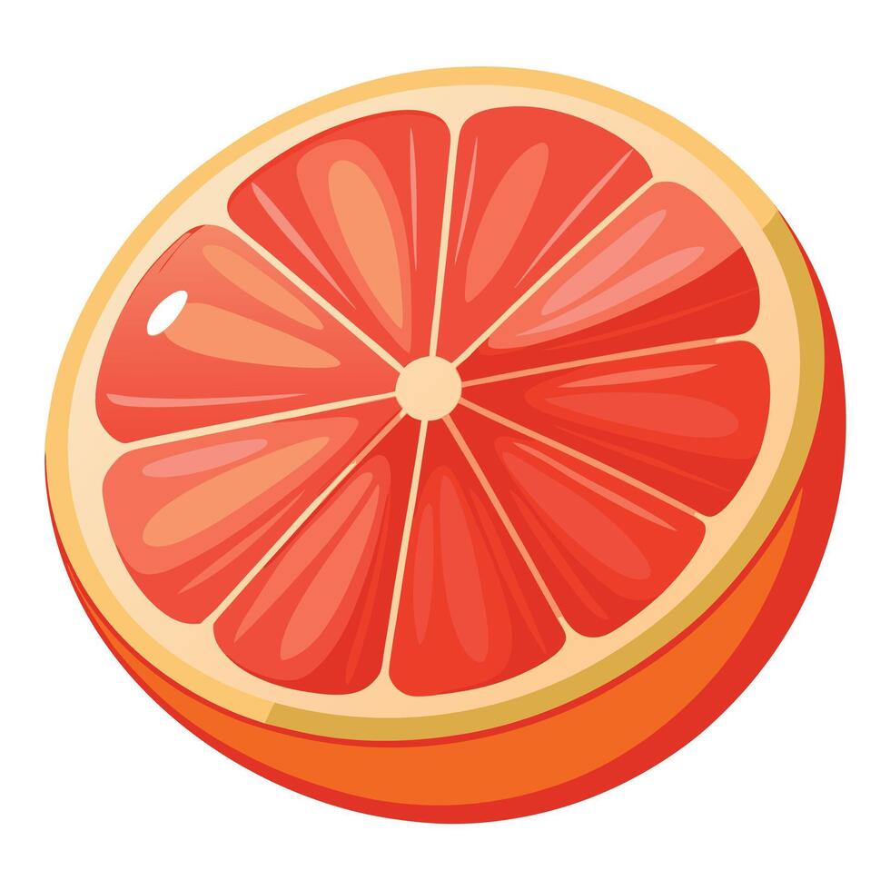 Grapefruit slice illustration vector