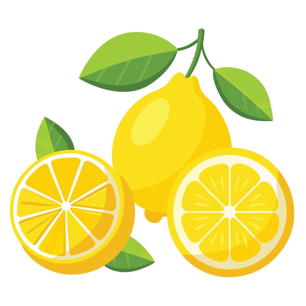 lemons. Fruits. Flat isolated illustration on white background. vector