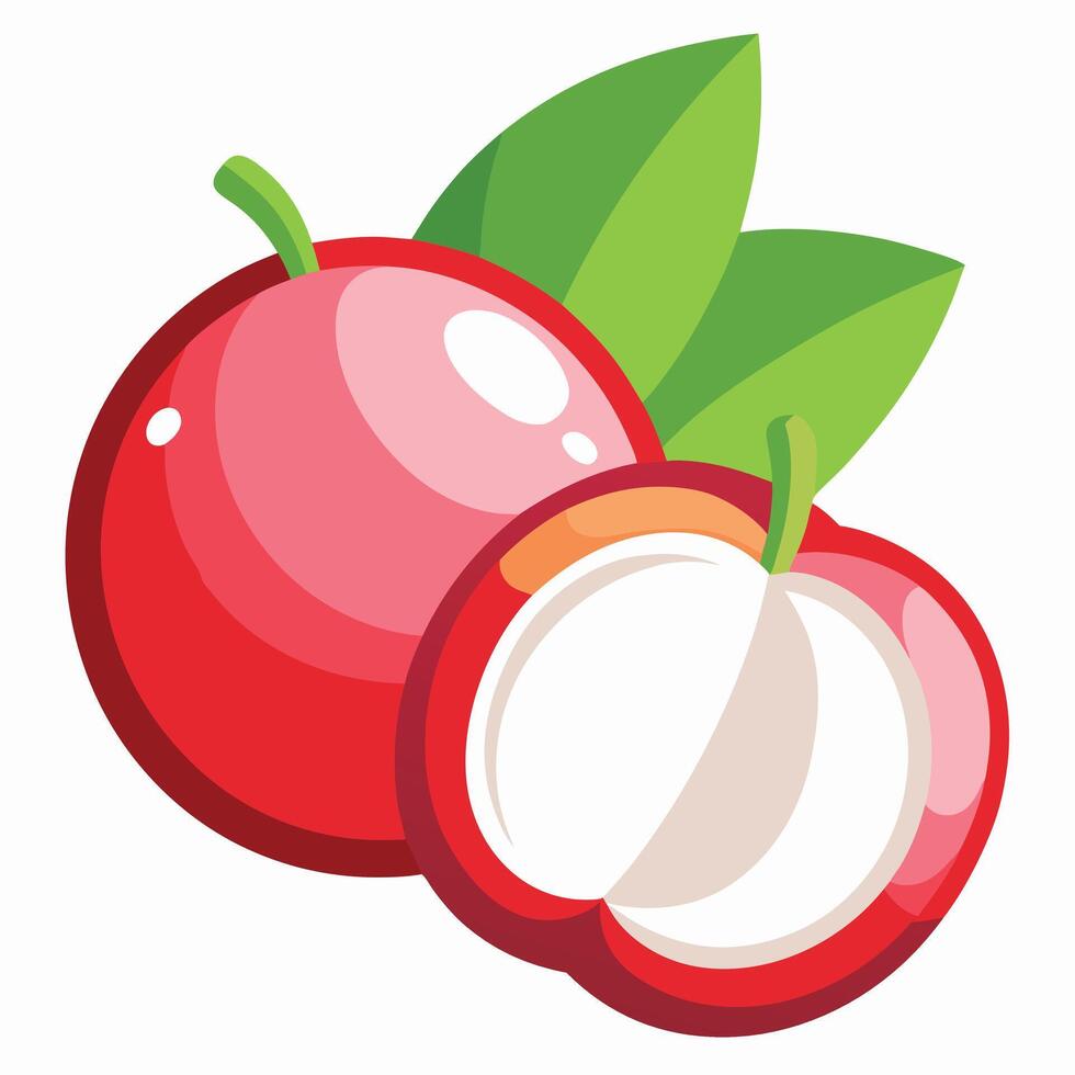 Red fruit with green leaves and half open vector