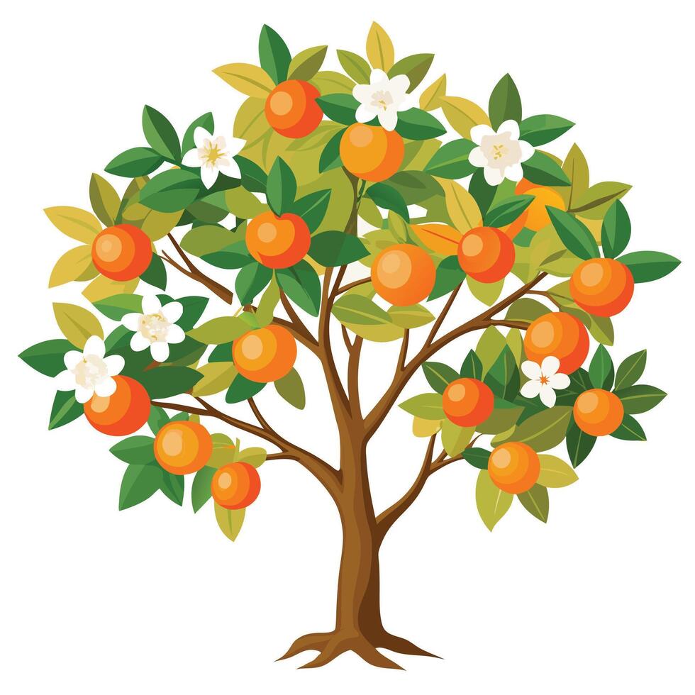 Orange tree with flowers and fruit vector