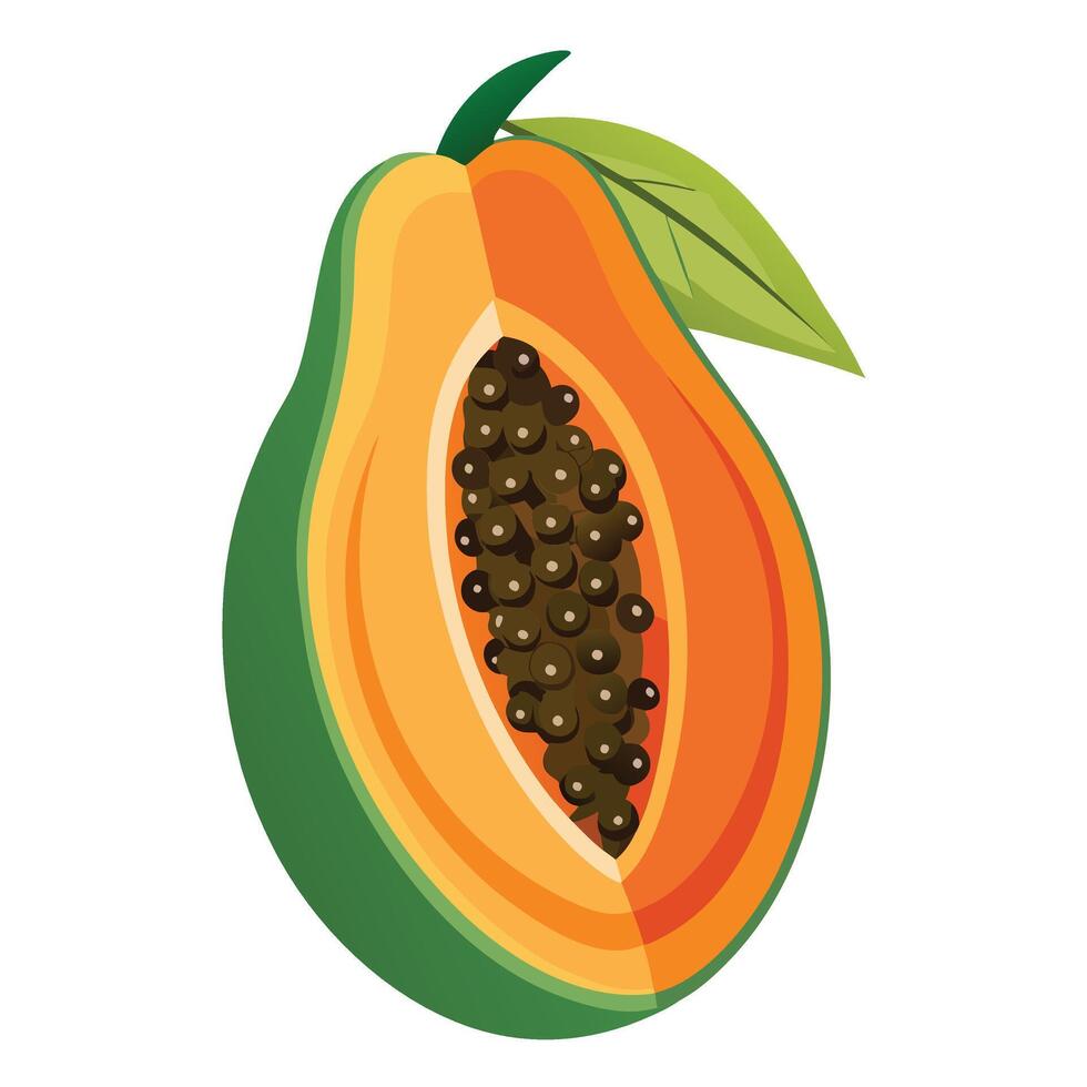 Papaya fruit with green leaves and seeds isolated on white background vector