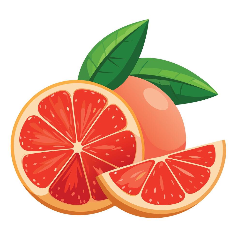Grapefruit with leaves and slices on a white background vector
