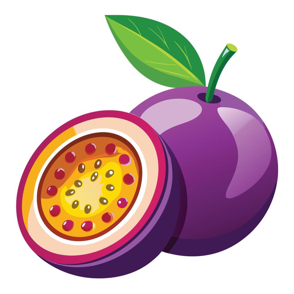 Passion fruit illustration vector