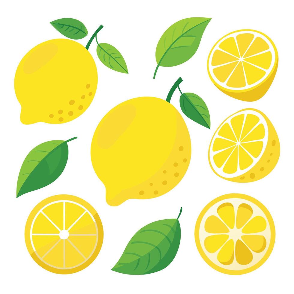 Lemons flat illustration. Collection of stylized flat vector