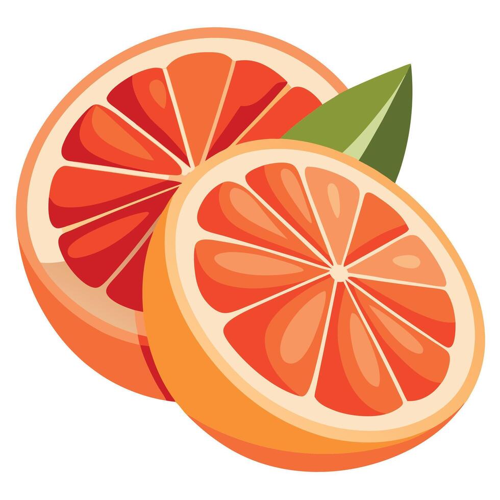 Grapefruit illustration white background vector