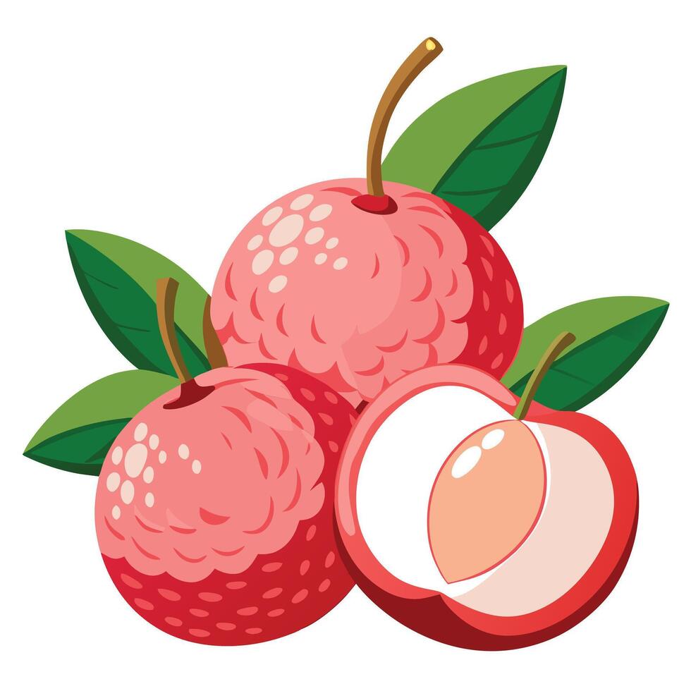illustration of red lychee fruit vector