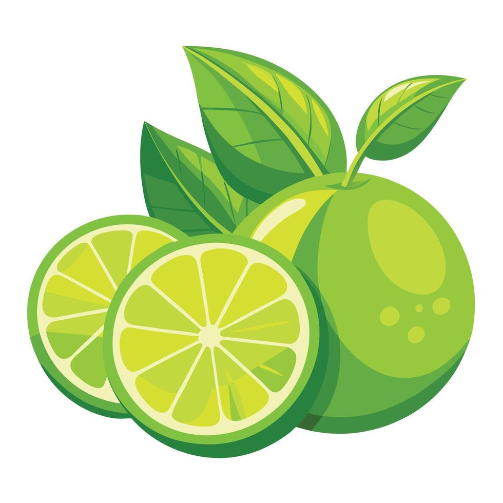 Lime illustration white background vector