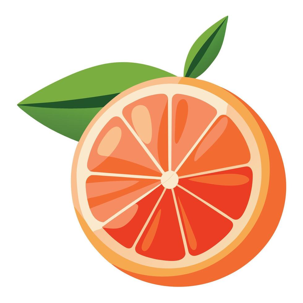 An orange with a leaf on it is shown vector