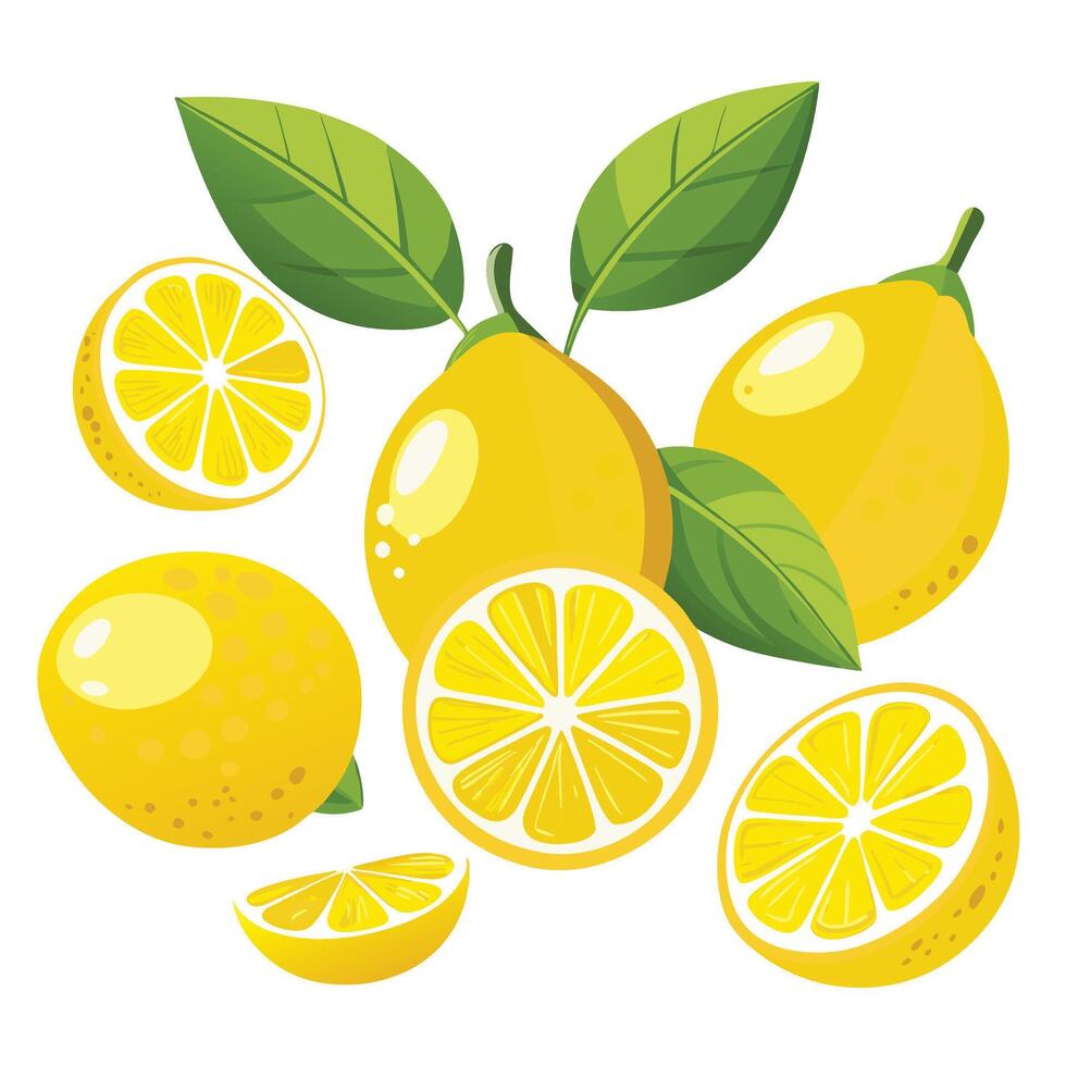 Fresh lemon fruits icon set. Yellow lemon fruit . vector